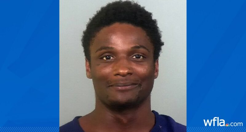 Burglary suspect shoots at Manatee County deputies, leads manhunt into woods: MCSO