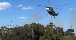 Locals in a suburb south of Sydney are being told it is too late to leave as a bushfire approaches.