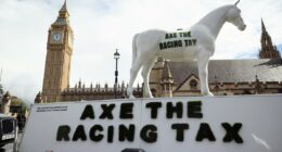 CALUM McCLURKIN: Racing can't afford to rest on its laurels after budgetary reprieve