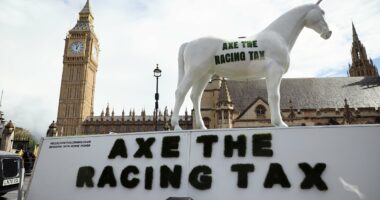 CALUM McCLURKIN: Racing can't afford to rest on its laurels after budgetary reprieve