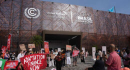 COP30 makes individual climate actions seem small. That's why experts say to work in groups