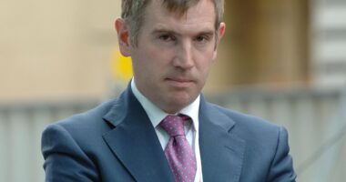 Cabal bullying Starmer into a Brexit vote. Insiders say: 'It's insane'