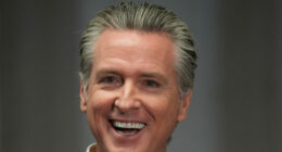 California Approves Prop 50, Potentially Adding 5 Democrat House Seats