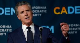 California Voters Approve New Congressional Map Favoring Democrats