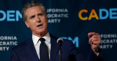 California Voters Approve New Congressional Map Favoring Democrats