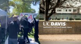 California woman charged with disrupting April Turning Point USA event on a college campus