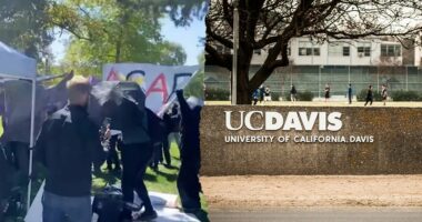 California woman charged with disrupting April Turning Point USA event on a college campus