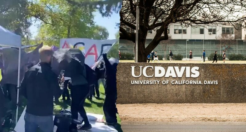 California woman charged with disrupting April Turning Point USA event on a college campus