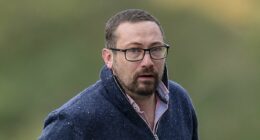 Callous motorist flung granddad 30ft - then failed to call ambulance