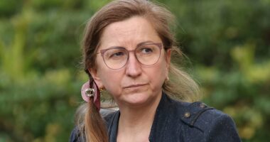 Calls louden for Joel Cauchi's psychiatrist to be investigated