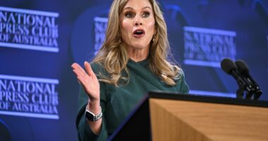 Calls mount for Australia's eSafety Commissioner to be investigated