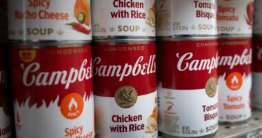 Campbell’s promises its soups are not made with 3D printed meat