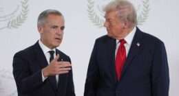 Canadian prime minister says he told Ontario's premier not to run anti-tariff ad that upset Trump