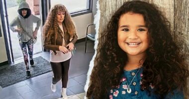 Car used by missing California girl's mom on road trip had license plates swapped to 'avoid detection'