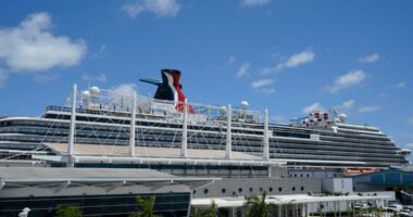 Cause of death revealed for Anna Kepner, the teen who was found dead on cruise ship