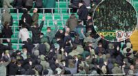 Celtic fans who shamed the club during Remembrance Day silence prove that the Scottish champions have lost all control over their so-called Ultras... They have indulged the Green Brigade for far too long