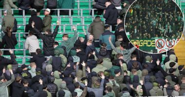 Celtic fans who shamed the club during Remembrance Day silence prove that the Scottish champions have lost all control over their so-called Ultras... They have indulged the Green Brigade for far too long