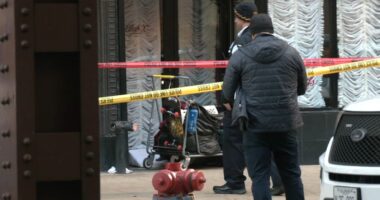 Chicago Loop stabbing: 6 in custody after homeless man stabbed to death outside Wabash Street restaurant, officials say