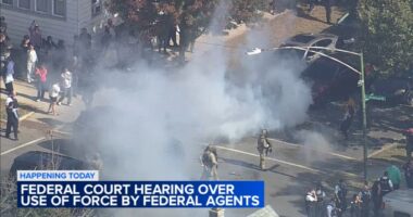 Chicago immigration operations: Judge to hear challenge to fed agents' use of force against protesters, journalists