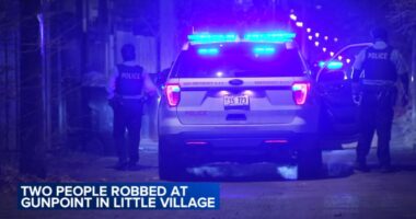 Chicago police issue alert for dozens of armed robberies over last month in Little Village, Humboldt Park, Logan Square and more