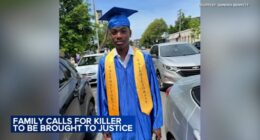 Chicago shooting: Family calls for justice after teen boy John Thomas shot, killed on West Grenshaw Street in University Village