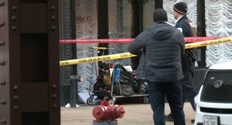Chicago stabbing: Man experiencing homelessness stabbed to death outside restaurant in the Loop, Cook County Crime Stoppers says