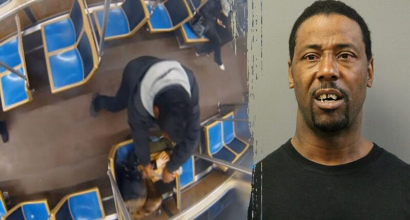 Chicago train fire attack shows why ‘decarceration’ policies are putting lives at risk: expert