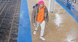 Chicago train station horror as woman stabbed in chest