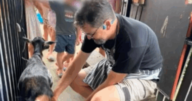 Child sex offender working in close proximity to kids at petting zoo