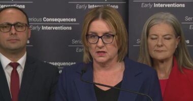 Children aged 14 and above to face adult sentences under Victorian crackdown