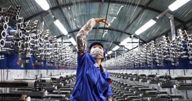 China factory activity edges up in November but remains in contraction