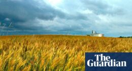 Chinese scientist charged with smuggling pathogen into US to be deported