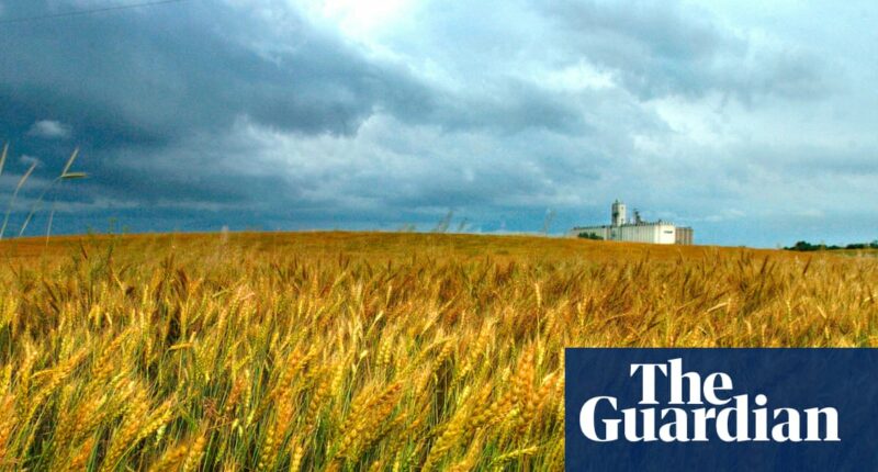 Chinese scientist charged with smuggling pathogen into US to be deported