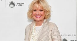 Celebrity Net Worth logo