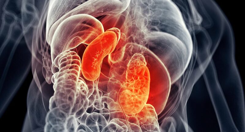 Chronic kidney disease has more than DOUBLED since 1990 to 800 million, experts discover: 'It's a growing global health crisis'
