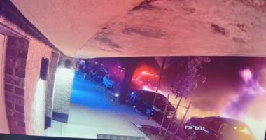 Cigarette flick that sparked massive Bronx car explosion caught on video