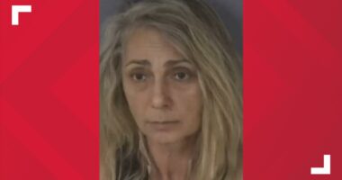 Clay County 8-year-old stabs grandmother to stop attempted murder of her mother: CCSO