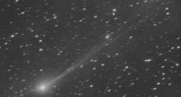 This photo provided by Gianluca Masi shows the interstellar comet 3I/Atlas as it streaks through space, 190 million miles from Earth, on Wednesday, Nov. 19, 2025. The image was taken from Manciano, Italy. (Gianluca Masi via AP)