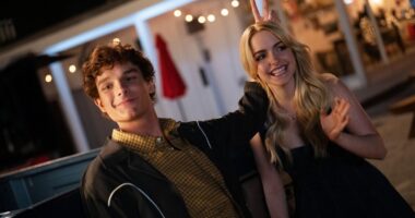 Colleen Hoover’s ‘Regretting You’ Gets Streaming Date, Report Says