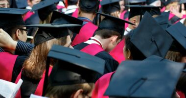 College grads now make up record share of unemployed workers