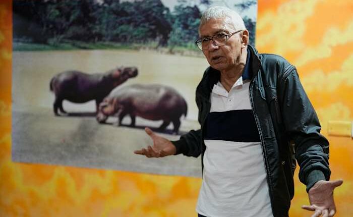 Colombian artists transform Pablo Escobar's hippos and excesses into art