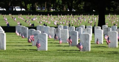 Community effort saves Veterans Day event at Fort Custer amid shutdown