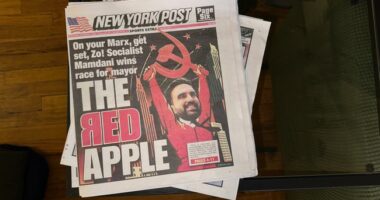 Comrade Mamdani's Chinese Help