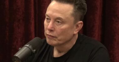 Concerns for Elon Musk's health as doctor spots worrying sign in latest Joe Rogan episode