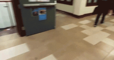 Conservative Gettysburg College group catches student on video tearing down promotional flyers