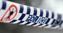 Convenience store worker allegedly stabbed during robbery