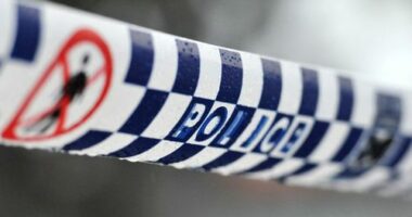 Convenience store worker allegedly stabbed during robbery