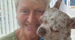 Conwoman care home boss facing jail over fake will 'drugged colleague'