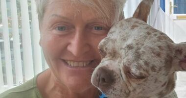 Conwoman care home boss facing jail over fake will 'drugged colleague'