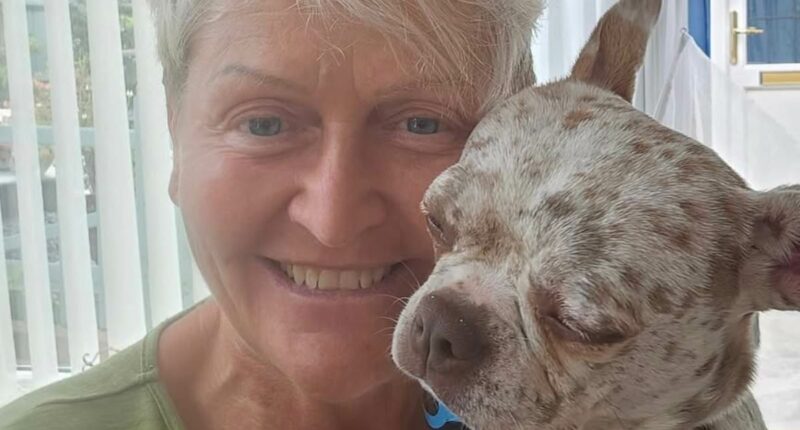 Conwoman care home boss facing jail over fake will 'drugged colleague'